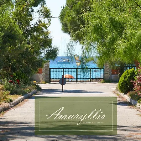 Amaryllis Summer Maisonettes ポッシディ
