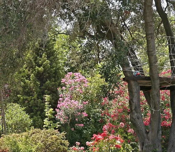 شقة Amaryllis Summer Maisonettes بوسيدي