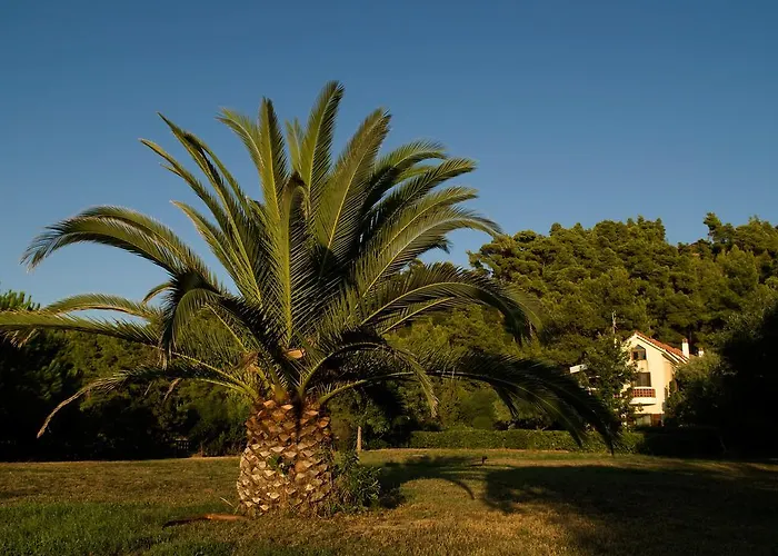 Amaryllis Summer Maisonettes * Possidi