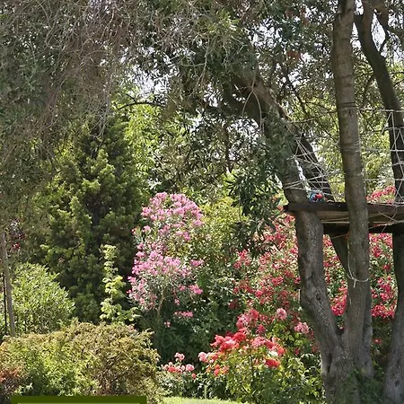 Apartamento Amaryllis Summer Maisonettes Possidi